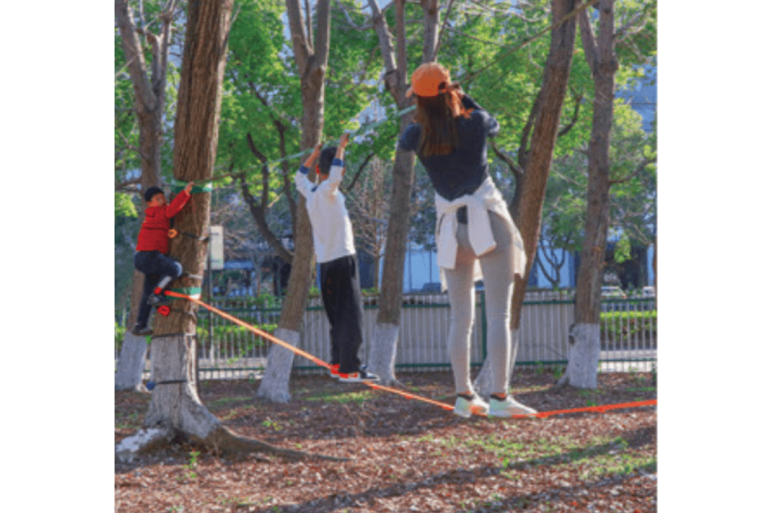 Ninja Rachet + tree protector