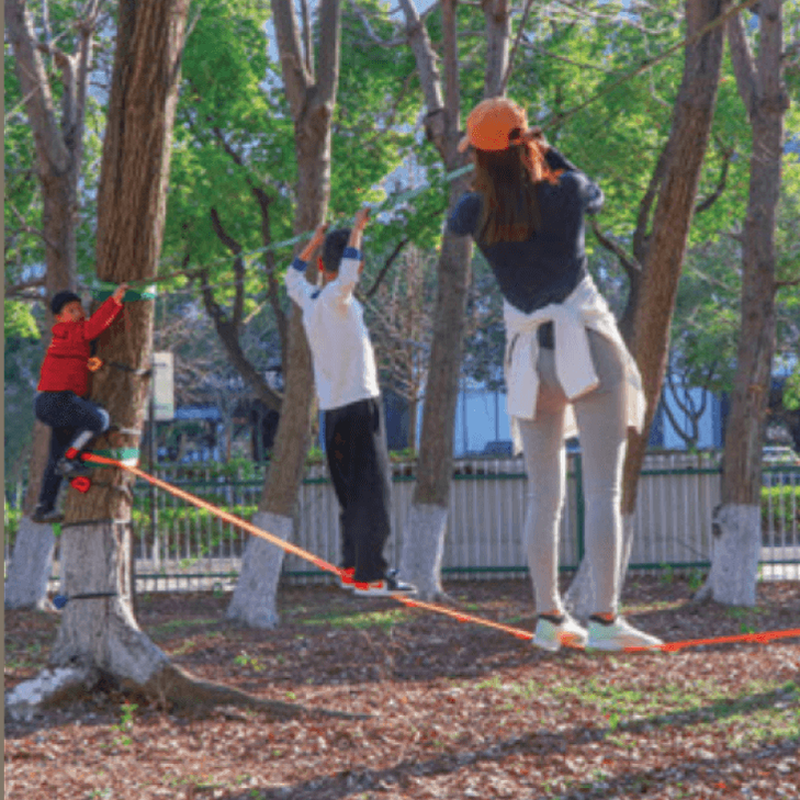 Ninja Rachet + tree protector