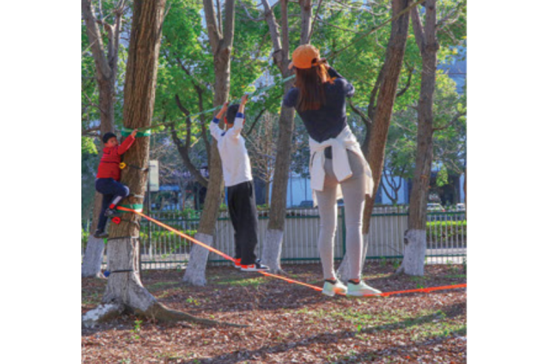 Ninja Rachet + tree protector